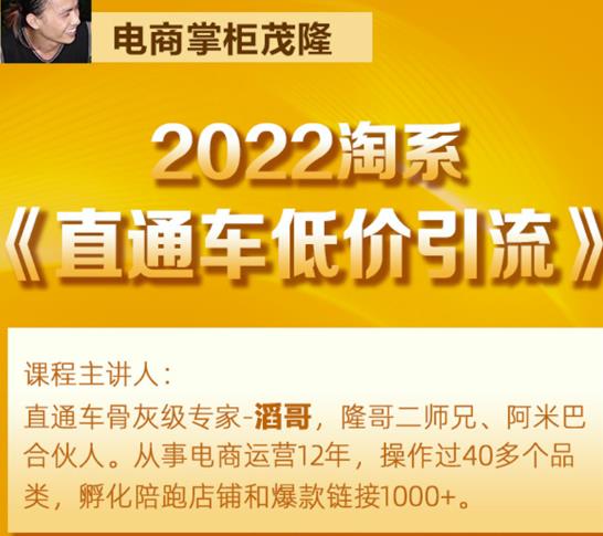 茂隆2022直通车低价引流玩法，教大家如何低投入高回报的直通车玩法|小鸡网赚博客