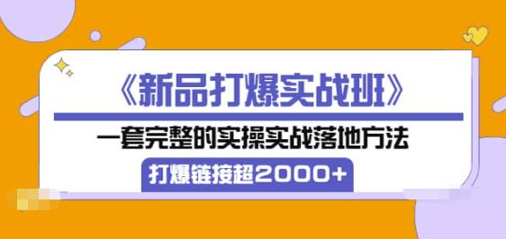 《新品打爆实战班》一套完整的实操实战落地方法，打爆链接超2000+（38节课)|小鸡网赚博客