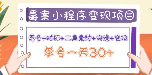 森罗万项毒案小程序变现项目：养号+对标+工具素材+实操+变现，单号一天30+|小鸡网赚博客