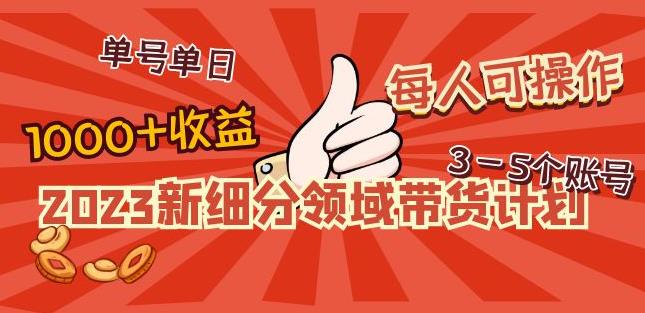 2023新细分领域带货计划：单号单日1000+收益不难，每人可操作3-5个账号|小鸡网赚博客