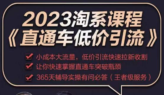 2023直通车低价引流玩法课程，小成本大流量，低价引流快速拉新收割，让你快速掌握直通车突破瓶颈|小鸡网赚博客