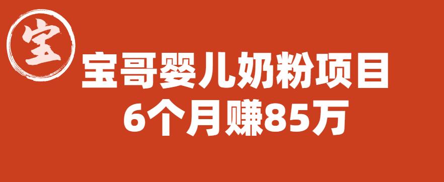 宝哥婴儿奶粉项目，6个月赚85w【图文非视频】【揭秘】|小鸡网赚博客