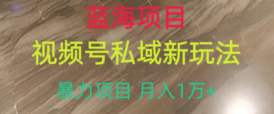 蓝海项目，视频号私域新玩法，暴力项目月入1万+【揭秘】|小鸡网赚博客