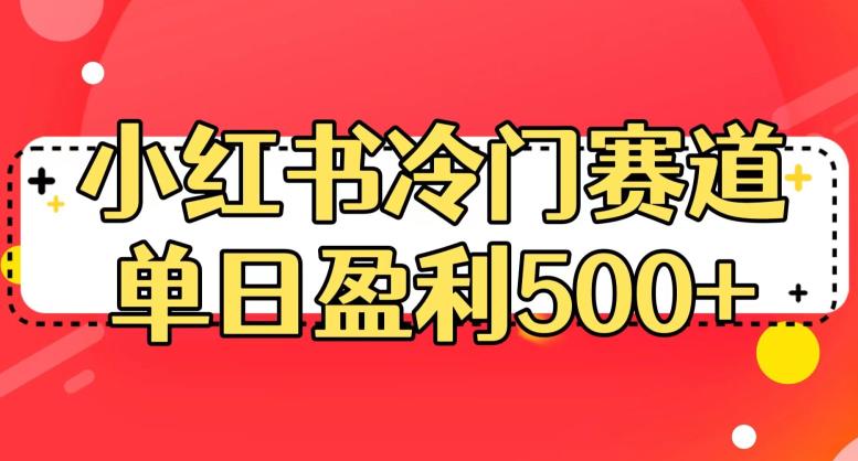 小红书冷门赛道，单日盈利500+【揭秘】|小鸡网赚博客