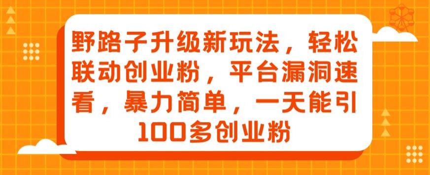 野路子升级新玩法，轻松联动创业粉，平台漏洞速看，暴力简单，一天能引100多创业粉|小鸡网赚博客