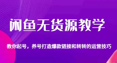 闲鱼无货源教学，教你起号，养号打造爆款链接以及转转的运营技巧|小鸡网赚博客