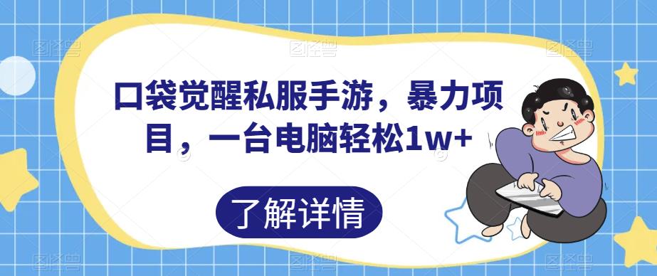 口袋觉醒私服手游，暴力项目，一台电脑轻松1w+【揭秘】|小鸡网赚博客