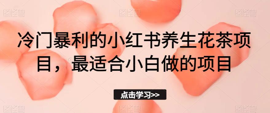 冷门暴利的小红书养生花茶项目，最适合小白做的项目【揭秘】|小鸡网赚博客