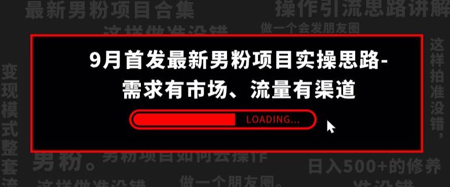 9月首发最新男粉项目实操思路-需求有市场，流量有渠道【揭秘】|小鸡网赚博客