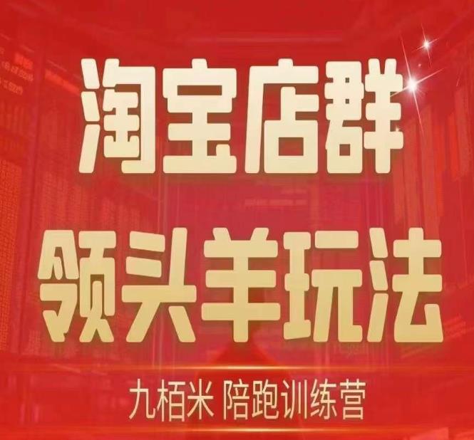 九栢米-淘宝店群领头羊玩法，教你整个淘宝店群领头羊玩法以及精细化/终极蓝海/尾销等内容|小鸡网赚博客