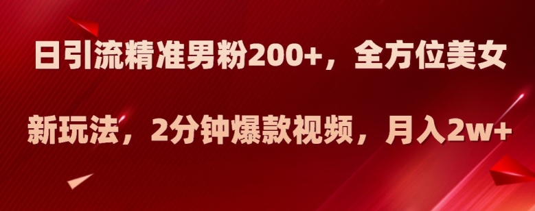 日引流精准男粉200+，全方位美女新玩法，2分钟爆款视频，月入2w+【揭秘】|小鸡网赚博客