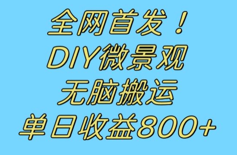 全网首发冷门赛道！DIY微景观，无脑搬运视频，日收益800+【揭秘】|小鸡网赚博客