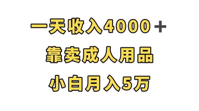 一天收入4000+，靠卖成人用品，小白轻松月入5万【揭秘】|小鸡网赚博客