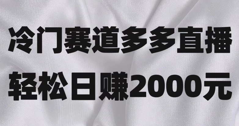 冷门赛道拼多多直播，简单念稿子，日收益2000＋【揭秘】|小鸡网赚博客