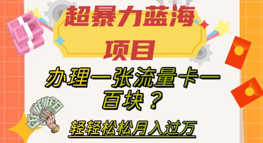 超暴力蓝海项目，办理一张流量卡一百块？轻轻松松月入过万，保姆级教程【揭秘】|小鸡网赚博客