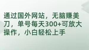 通过国外网站，无脑赚美刀，单号每天300+可放大操作，小白轻松上手【揭秘】|小鸡网赚博客