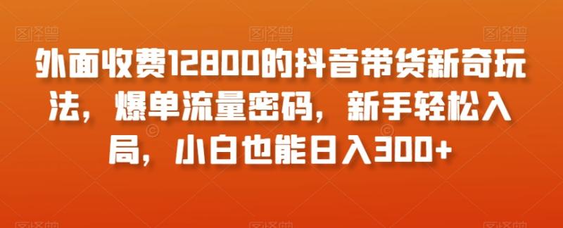 外面收费12800的抖音带货新奇玩法，爆单流量密码，新手轻松入局，小白也能日入300+【揭秘】|小鸡网赚博客