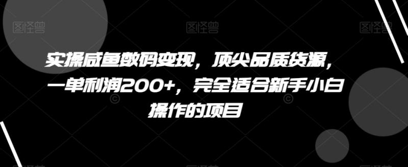 实操咸鱼数码变现，顶尖品质货源，一单利润200+，完全适合新手小白操作的项目【揭秘】|小鸡网赚博客