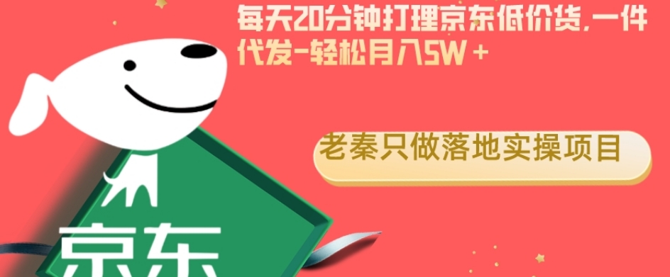 老秦轻创系列课程29：每天20分钟打理京东低价货，一件代发-轻松月入5W＋|小鸡网赚博客