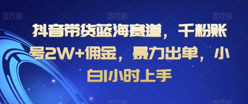 抖音带货蓝海赛道，千粉账号2W+佣金，暴力出单，小白1小时上手【揭秘】|小鸡网赚博客