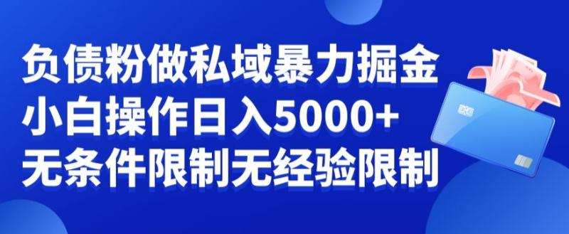 负债粉私域暴力掘金，小白操作入5000，无经验限制，无条件限制【揭秘】|小鸡网赚博客