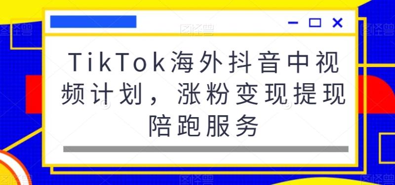 TikTok海外抖音中视频计划，涨粉变现提现陪跑服务|小鸡网赚博客