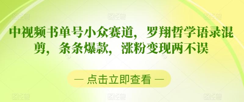 中视频书单号小众赛道，罗翔哲学语录混剪，条条爆款，涨粉变现两不误【揭秘】|小鸡网赚博客