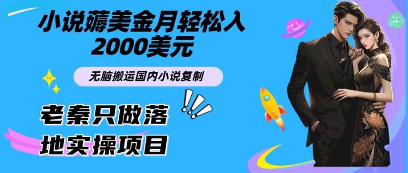 老秦轻创系列课程56：小说薅美金月轻松入2000美元项目、无脑搬运国内小说复制粘贴到国外、傻瓜式操作|小鸡网赚博客