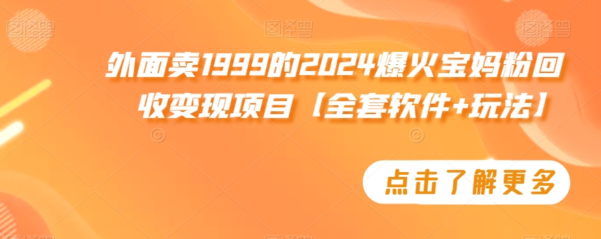 外面卖1999的2024爆火宝妈粉回收变现项目【全套软件+玩法】【揭秘】|小鸡网赚博客