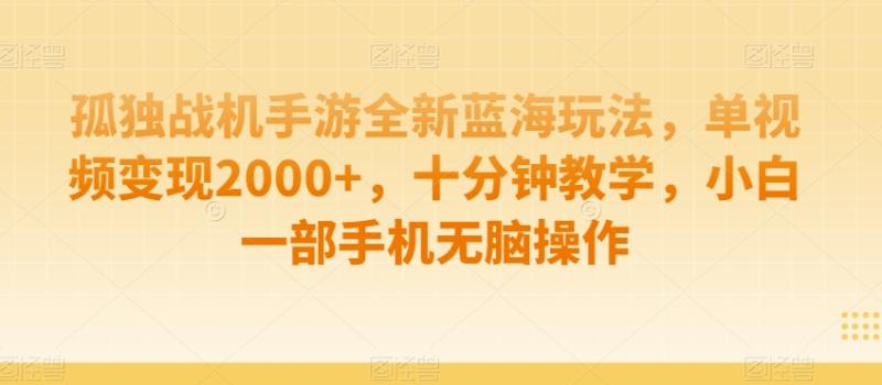 孤独战机手游全新蓝海玩法，单视频变现2000+，十分钟教学，小白一部手机无脑操作【揭秘】|小鸡网赚博客