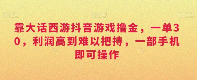 靠大话西游抖音游戏撸金，一单30，利润高到难以把持，一部手机即可操作，日入3000+【揭秘】|小鸡网赚博客