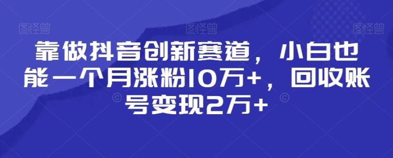 靠做抖音创新赛道，小白也能一个月涨粉10万+，回收账号变现2万+【揭秘】|小鸡网赚博客