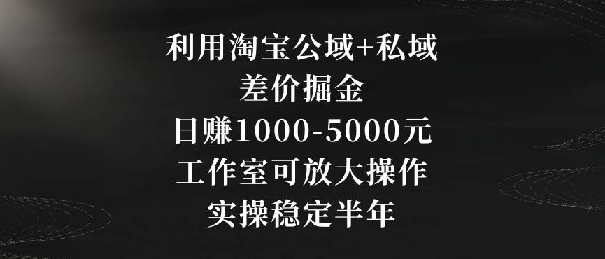 利用淘宝公域+私域差价掘金，日赚1000-5000元，工作室可放大操作，实操稳定半年【揭秘】|小鸡网赚博客