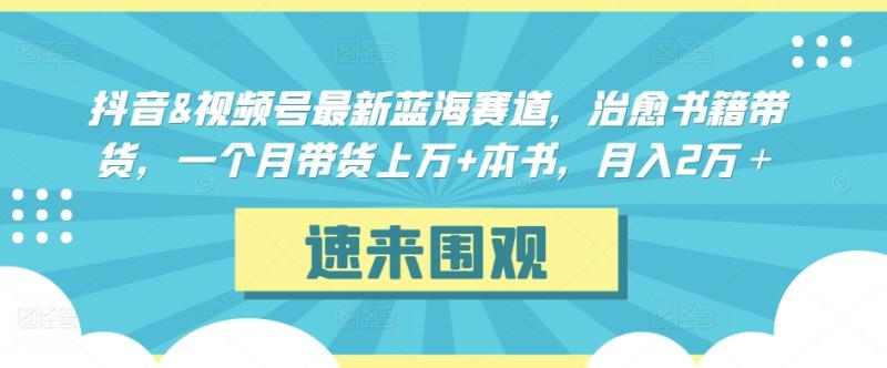 抖音&视频号最新蓝海赛道，治愈书籍带货，一个月带货上万+本书，月入2万＋【揭秘】|小鸡网赚博客