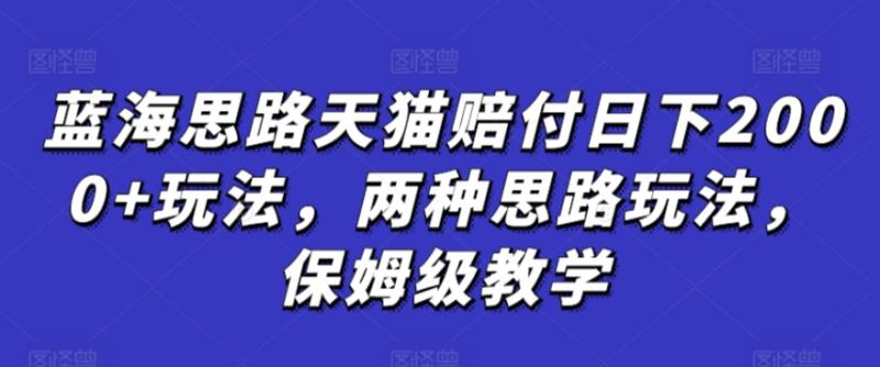 蓝海思路天猫赔付日下2000+玩法，两种思路玩法，保姆级教学【仅揭秘】|小鸡网赚博客