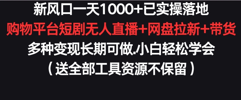 新风口一天1000+已实操落地购物平台短剧无人直播+网盘拉新+带货多种变现长期可做【揭秘】|小鸡网赚博客