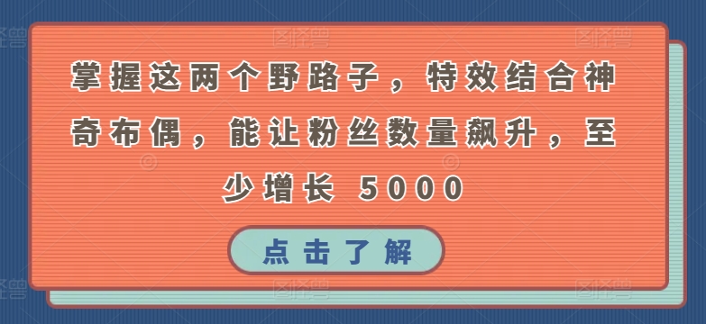 掌握这两个野路子，特效结合神奇布偶，能让粉丝数量飙升，至少增长 5000【揭秘】|小鸡网赚博客