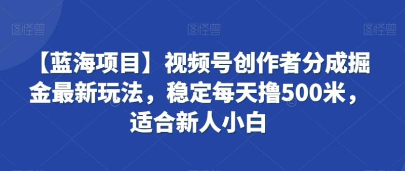 【蓝海项目】视频号创作者分成掘金最新玩法，稳定每天撸500米，适合新人小白【揭秘】|小鸡网赚博客