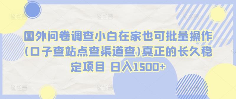 国外问卷调查小白在家也可批量操作(口子查站点查渠道查)真正的长久稳定项目 日入1500+【揭秘】|小鸡网赚博客