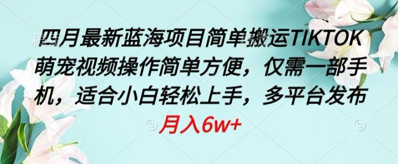 四月最新蓝海项目，简单搬运TIKTOK萌宠视频，操作简单方便，仅需一部手机【揭秘】|小鸡网赚博客