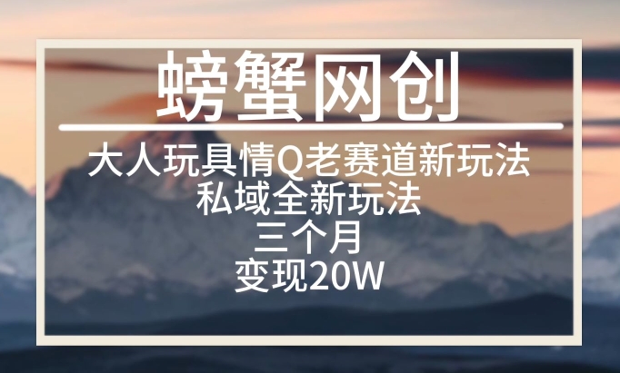 大人玩具情Q用品赛道私域全新玩法，三个月变现20W，老项目新思路【揭秘】|小鸡网赚博客