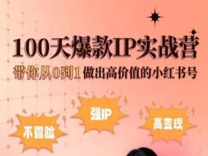 小红书100天爆款IP实战营，带你从0到1做出高价值的小红书号|小鸡网赚博客