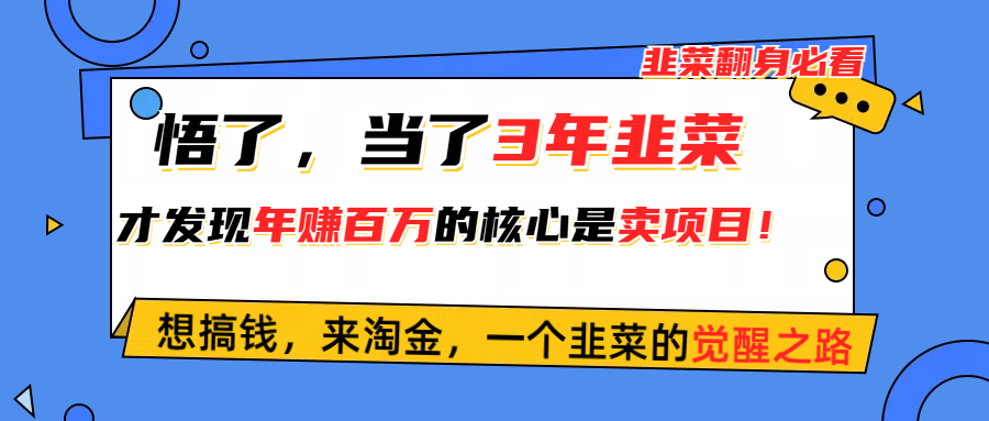 （10759期）悟了，当了3年韭菜，才发现网赚圈年赚100万的核心是卖项目，含泪分享！|小鸡网赚博客