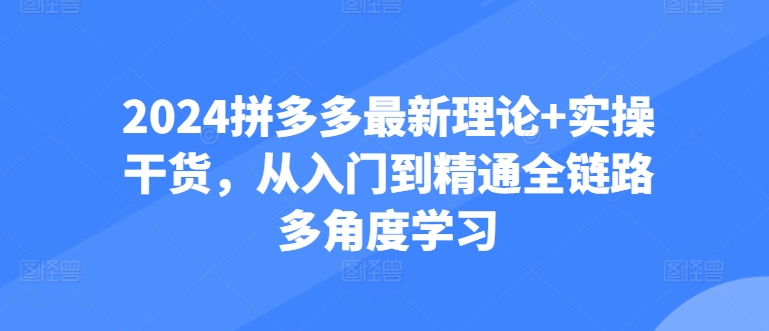 2024拼多多最新理论+实操干货，从入门到精通全链路多角度学习|小鸡网赚博客