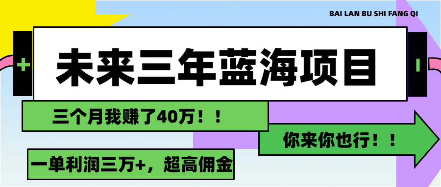 （11716期）未来三年，蓝海赛道，月入3万+|小鸡网赚博客