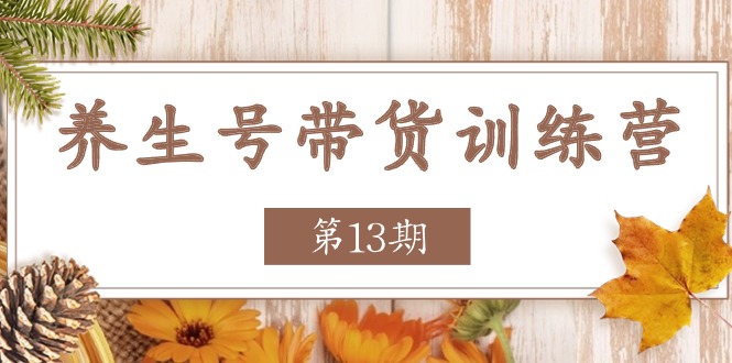 （11275期）养生号-带货训练营【第13期】收益更稳定的玩法，让你带货收益爆炸|小鸡网赚博客