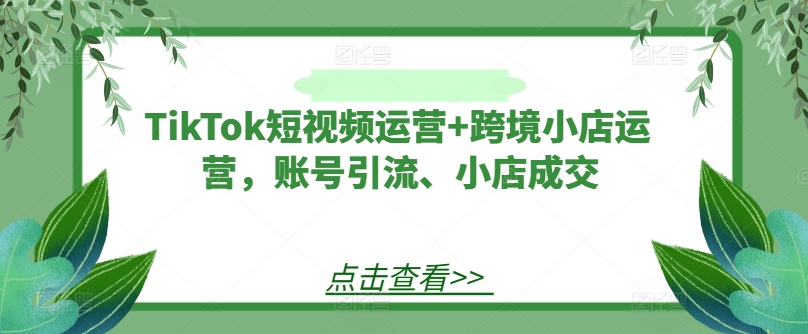 TikTok短视频运营+跨境小店运营，账号引流、小店成交|小鸡网赚博客