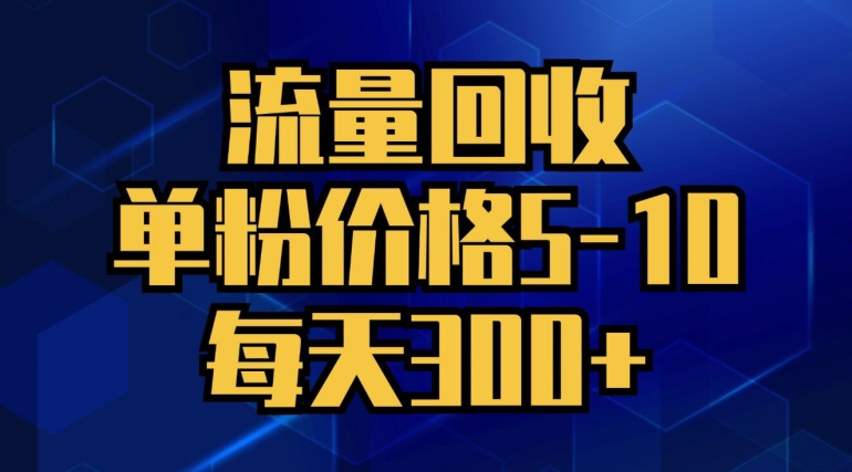 流量回收，单粉价格5-10，每天300+，轻松月入五位数|小鸡网赚博客