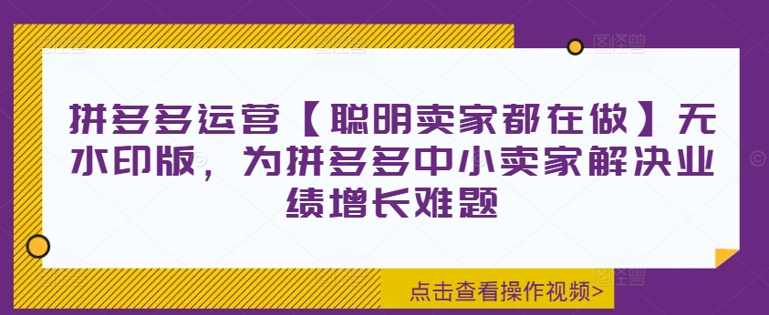 拼多多运营【聪明卖家都在做】无水印版，为拼多多中小卖家解决业绩增长难题|小鸡网赚博客