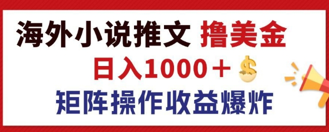 最新海外小说推文撸美金，日入1k+ 蓝海市场，矩阵放大收益爆炸|小鸡网赚博客